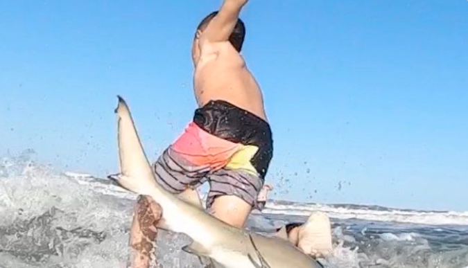 Boy knocked from his board by a shark in Florida