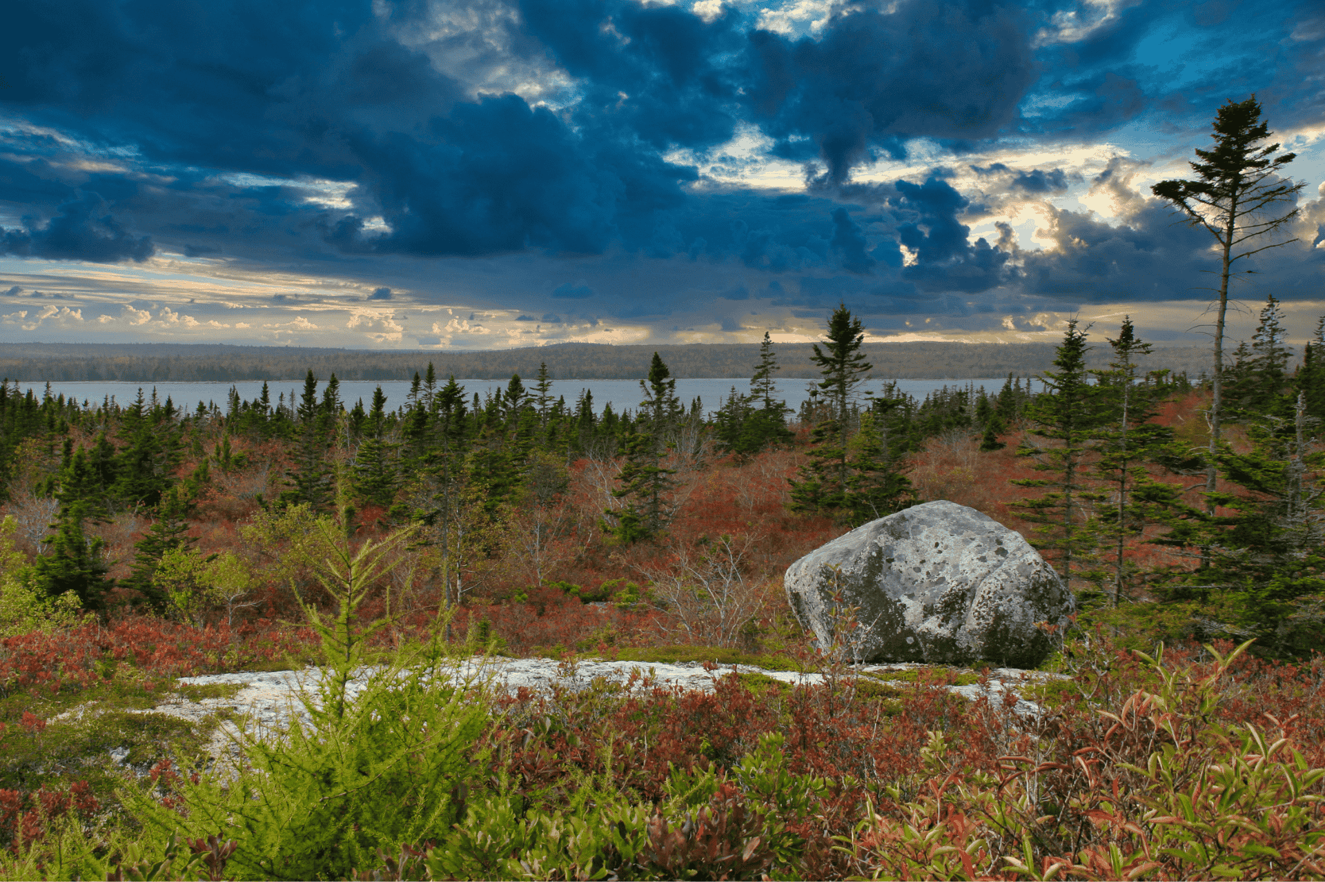 Winter in Kejimkujik National Park and Historic Site