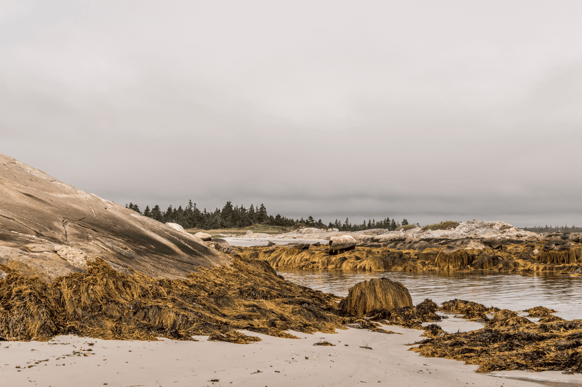 Winter at Kejimkujik National Park Seaside