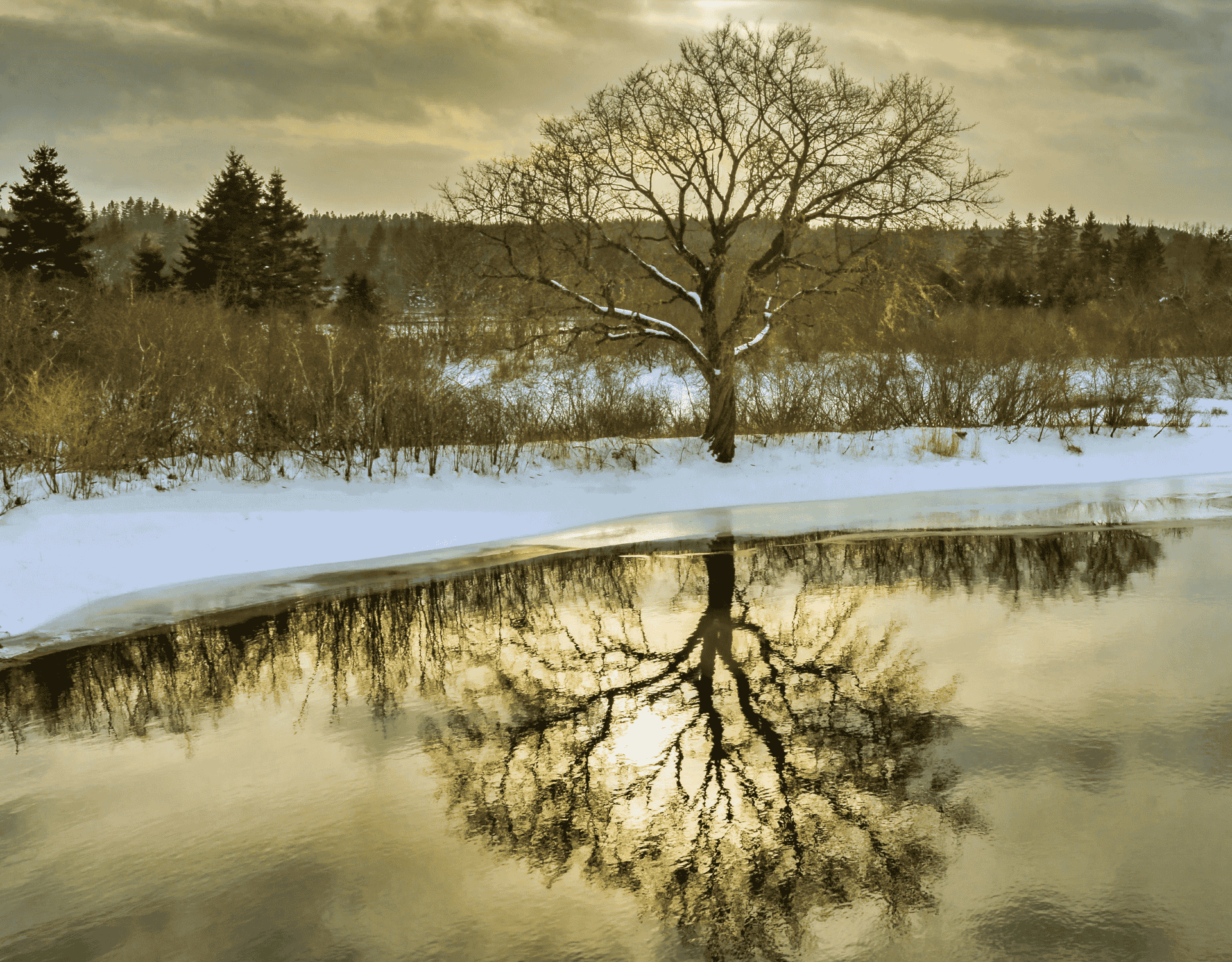 Winter on the Musquodoboit River