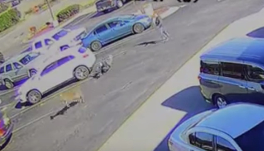 Deer runs over man in parking lot