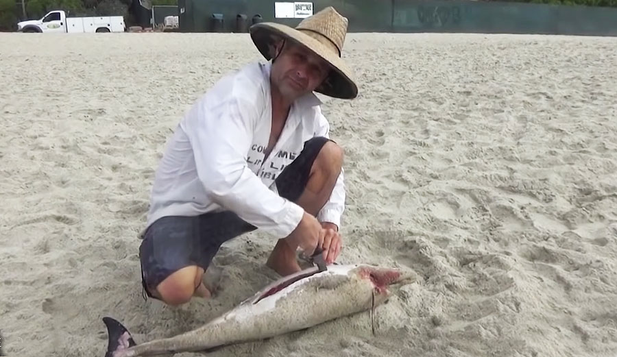 Gary Golding ate a dead baby dolphin