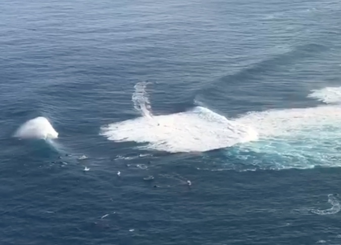 Jaws is Going Off Right Now; Here's a Real-Time Look