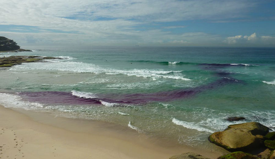 Rip current