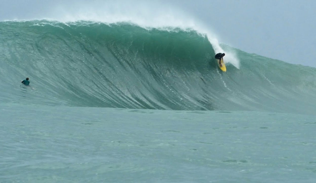 Surfing Silverbacks in Panama