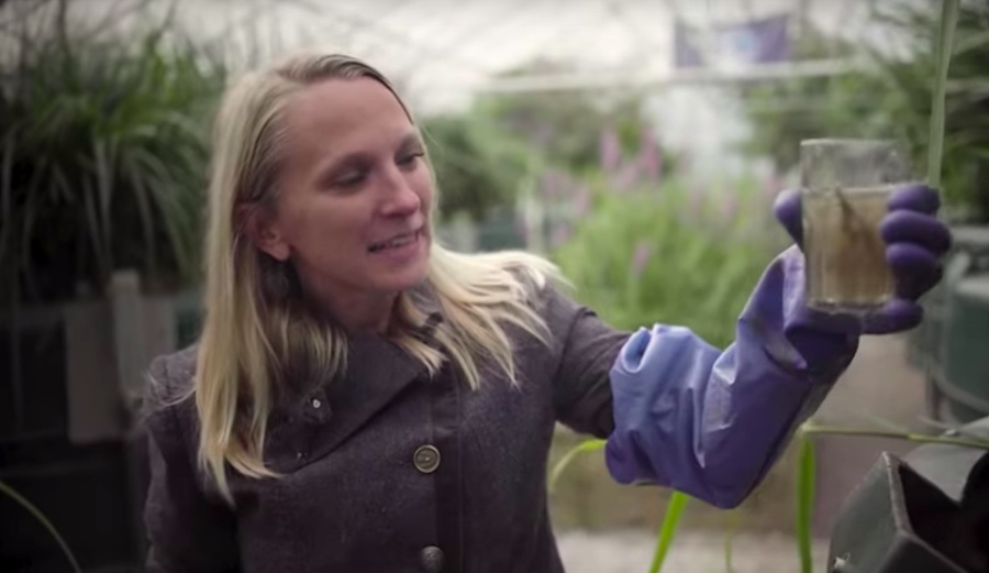 Take a Tour of a Sustainable Greenhouse That Cleans Human Waste Out of Water