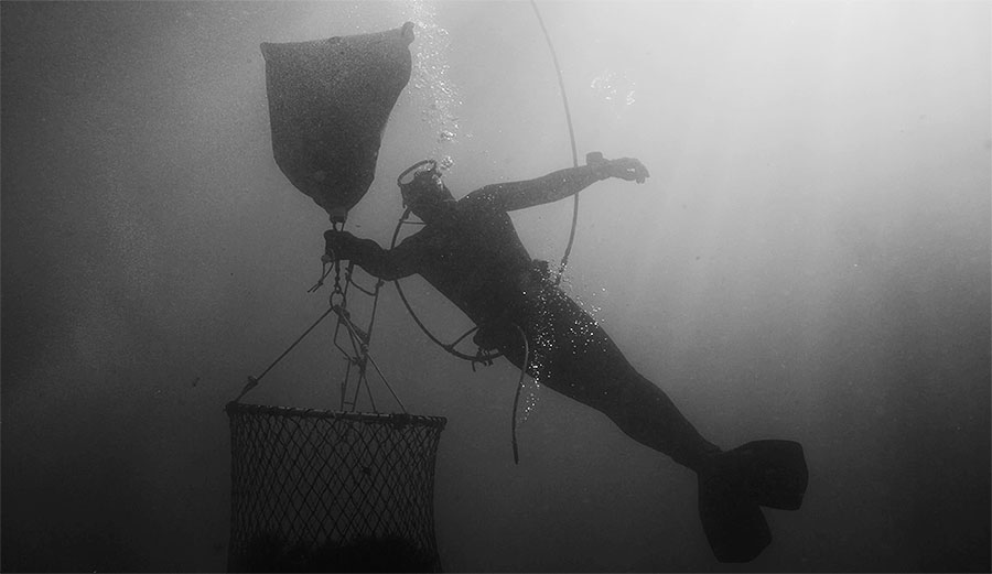 Jeff Maassen sea urchin diving