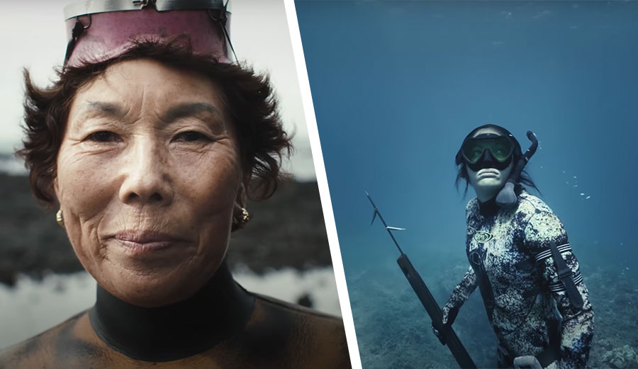 Kimi Werner Jeju spearfishing