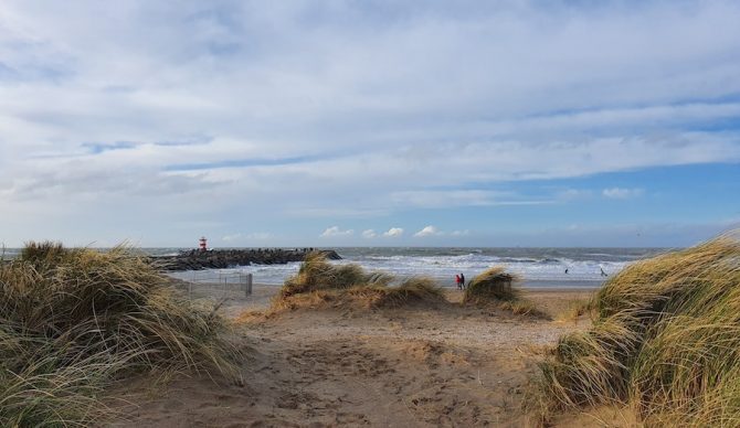 Netherlands Surfing Tragedy: Was Sea Foam Really to Blame for the Deaths of 5 People?