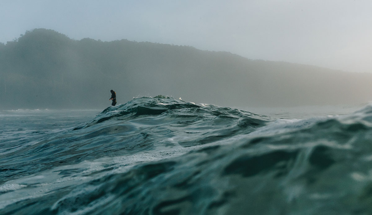 Tofino surfing