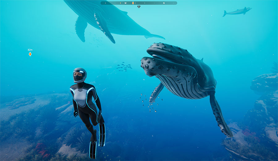 Beyond Blue video game