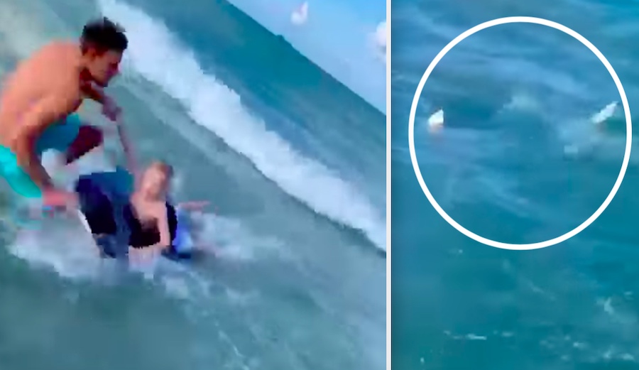 Off-Duty Florida Cop Pulls Little Boogie Boarding Dude From the Surf as Shark Closes In