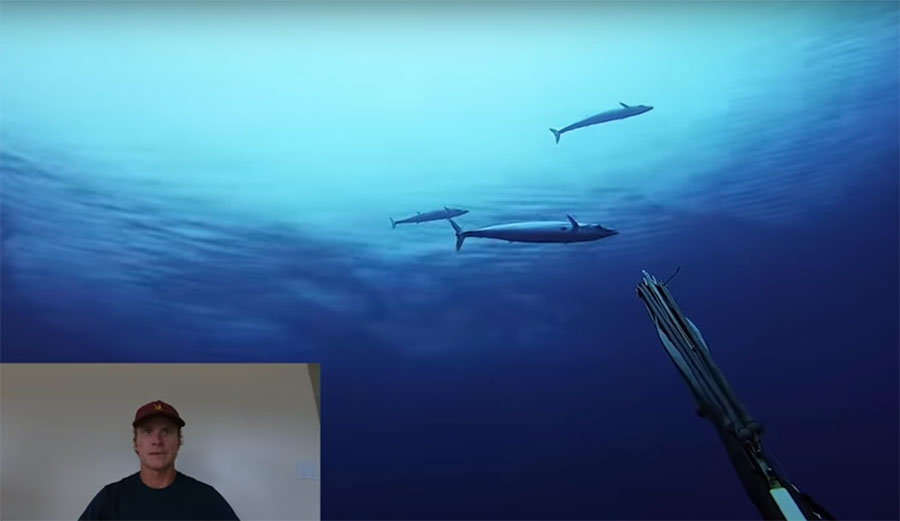 Mark Healey spearfishing