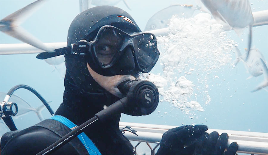 Mick Fanning Save this Shark