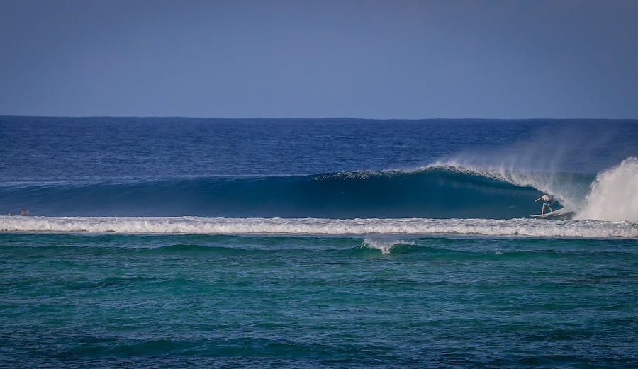 Raw Footage From an August at Rifles