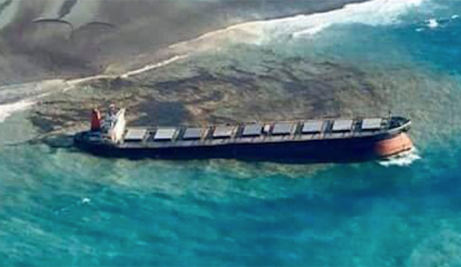 The MV Wakashio ran aground on Jul 25. Now surfers are signing an open letter to the shipping company responsible.