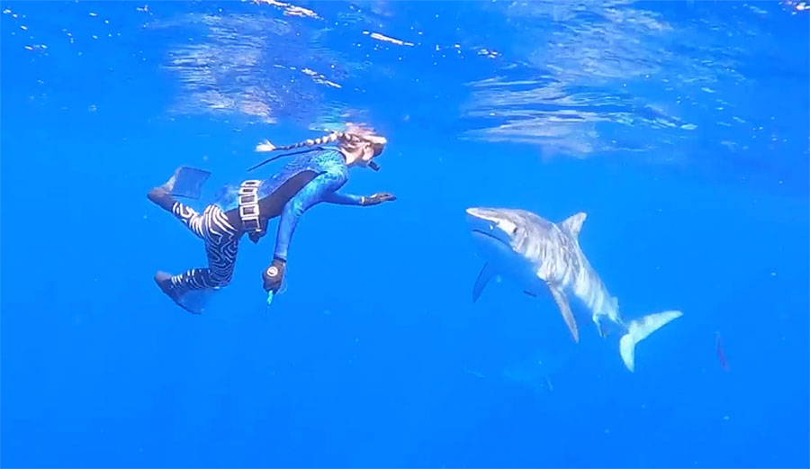 Ocean Ramsey with tiger sharks