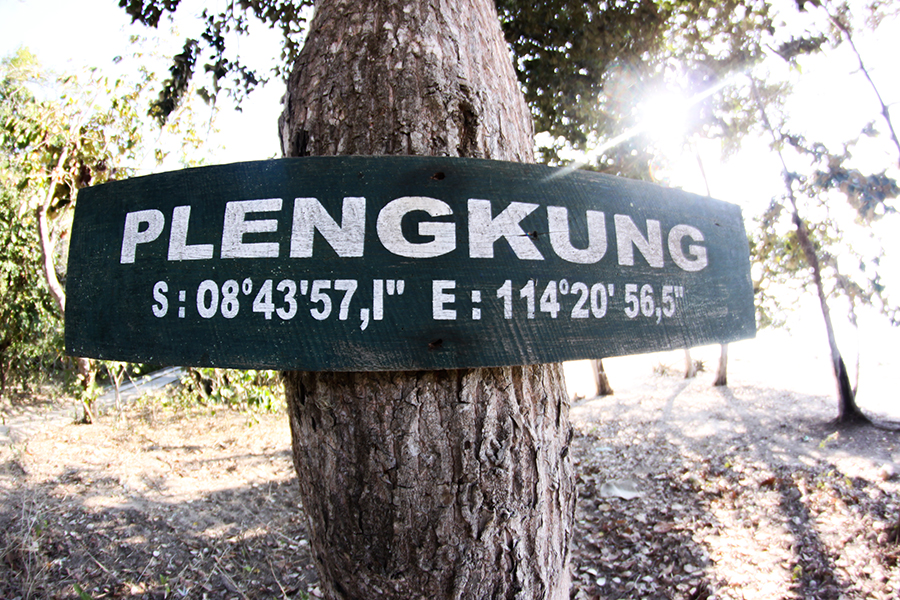 The History of Java's G-Land Surf Camp