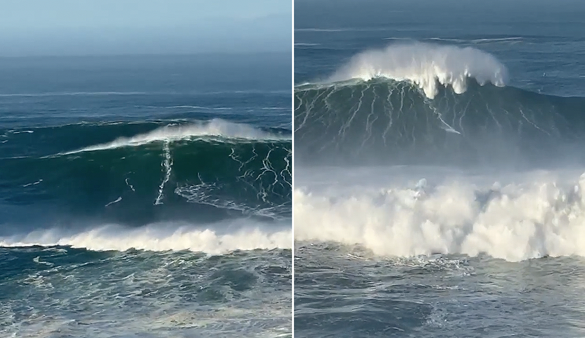 andrew cotton lucas chumbo nazare