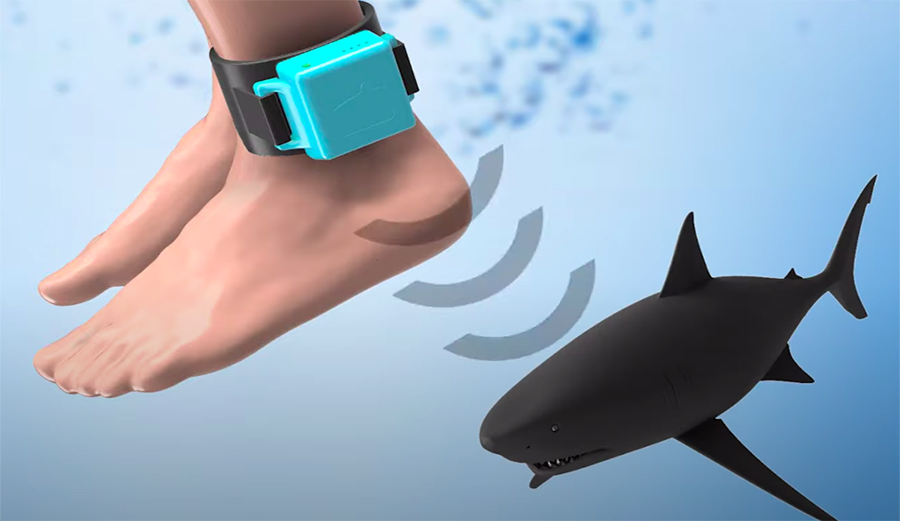 This Is Goecho, a Device That'll Tell You When Sharks Are Near – But Do You Really Want to Know?