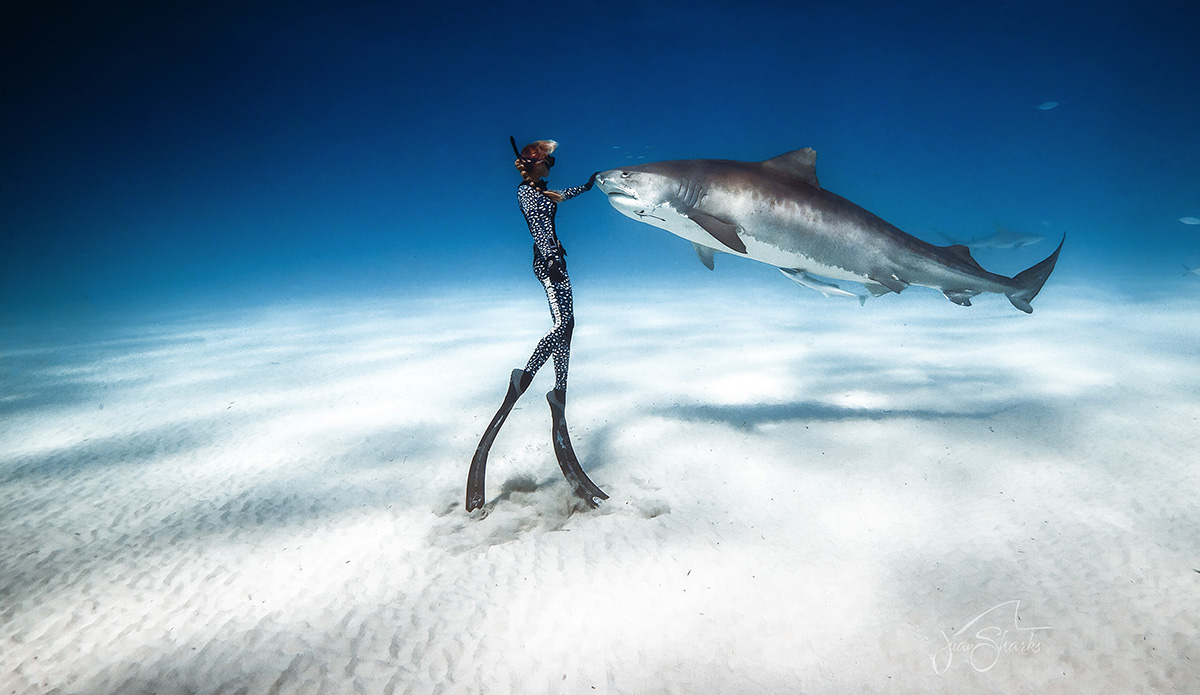 Ocean Ramsey Shark Deter Juan Sharks
