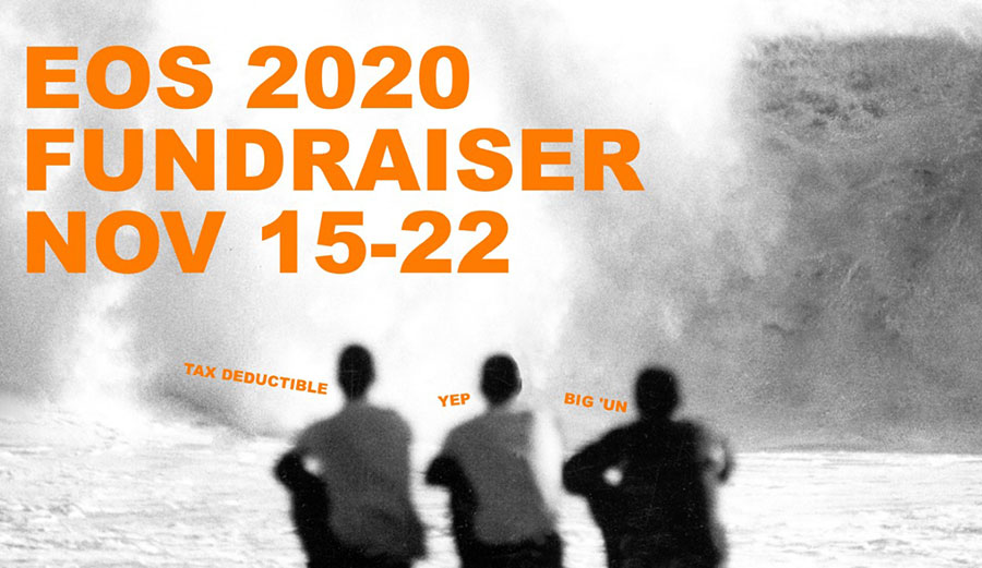 Matt Warshaw Encyclopedia of Surfing Fundraiser