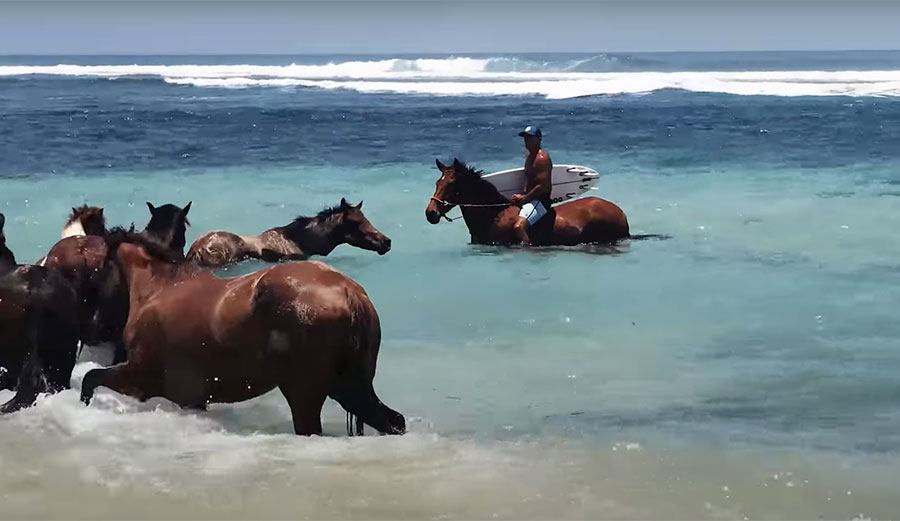 Kelly Slater on horseback holding a surfboard