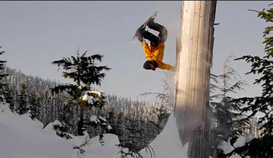 Snowboarder jumping next to a tree