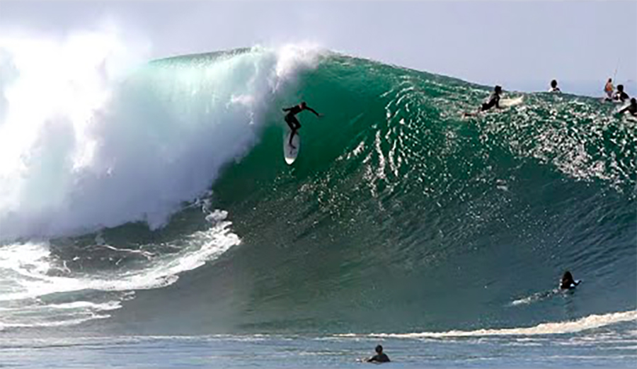 A Surfer on a big wave in Los Angeles