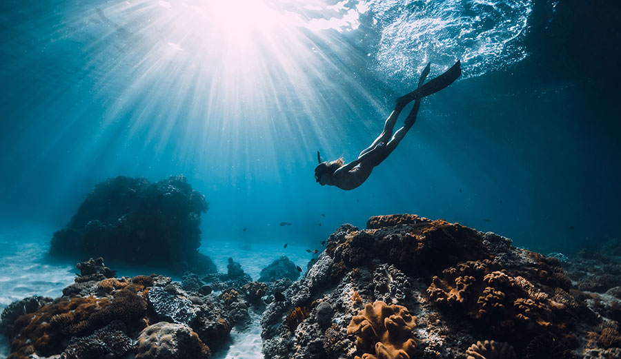 Diver in Pacific Ocean