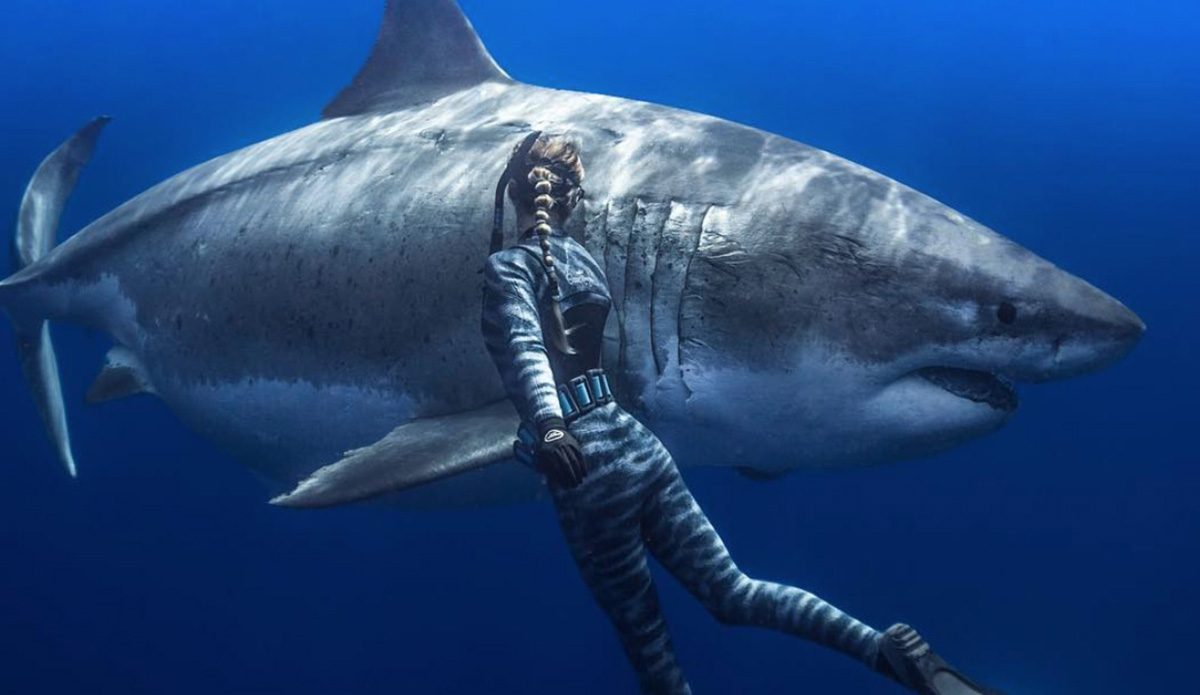Ocean Ramsey Grandma Great White