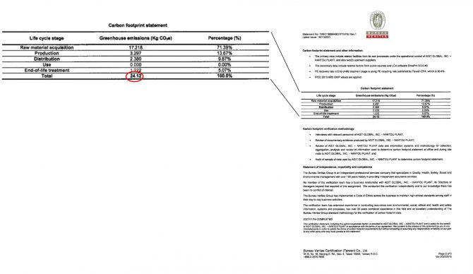 bureau veritas findings