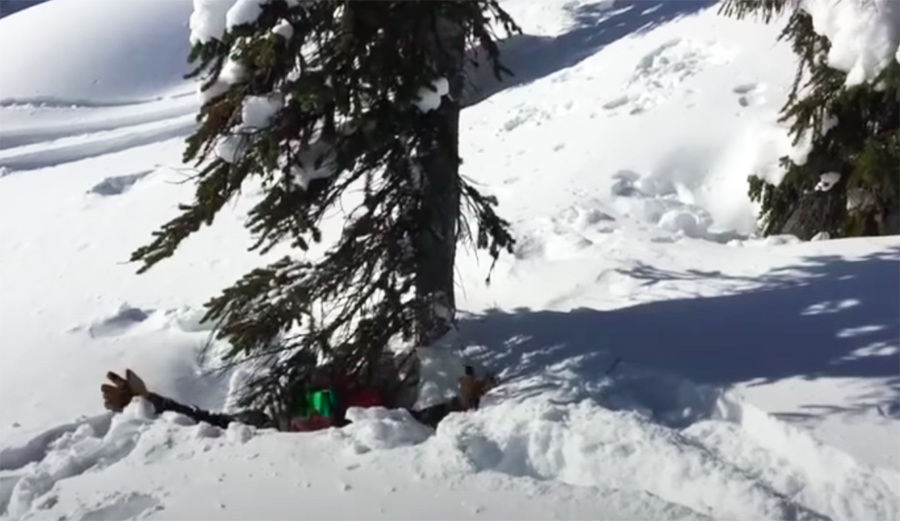 Skier Chris Davenport demonstrates tree well immersion