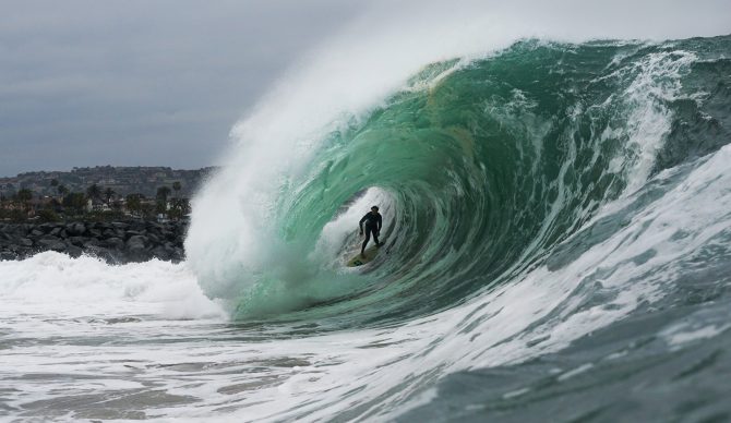 wedge, tommy cantrell, james ferrell