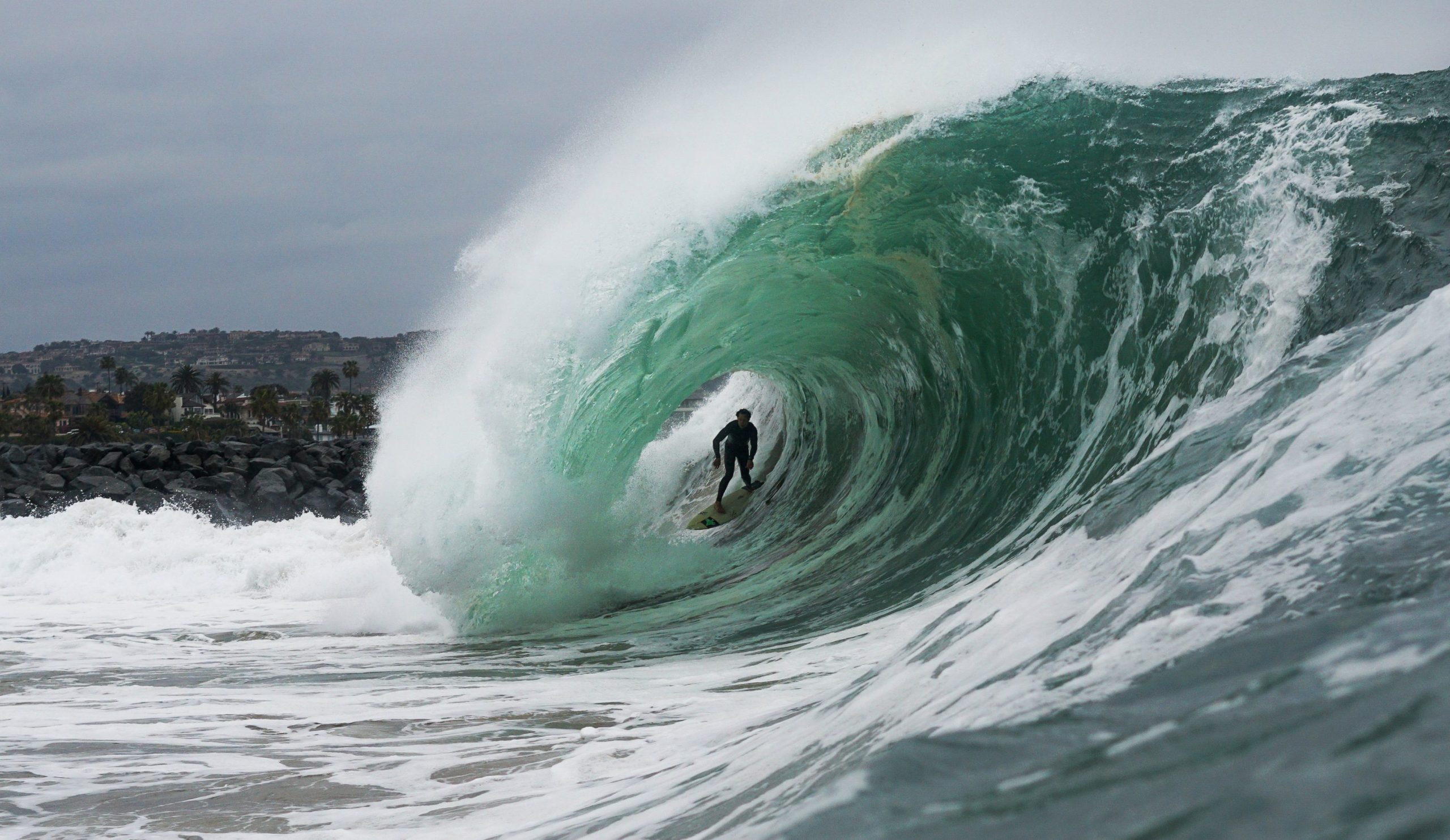 wedge, tommy cantrell, james ferrell