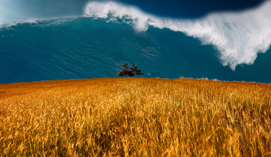 big wave in field