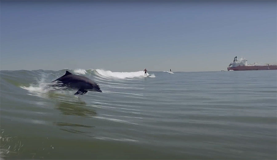 Dylan Graves tanker surfing
