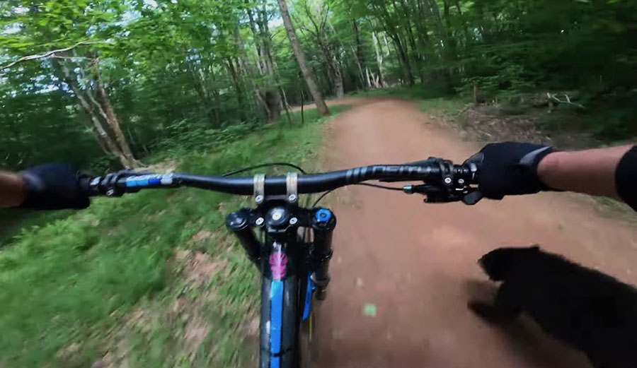 a mountain biker runs into a bear cub