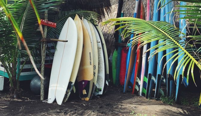 surfboards in the rainforest costa rica