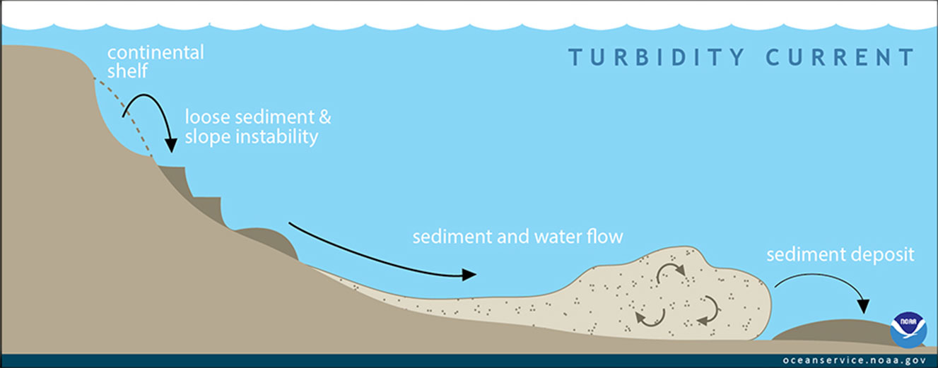 turbidity current