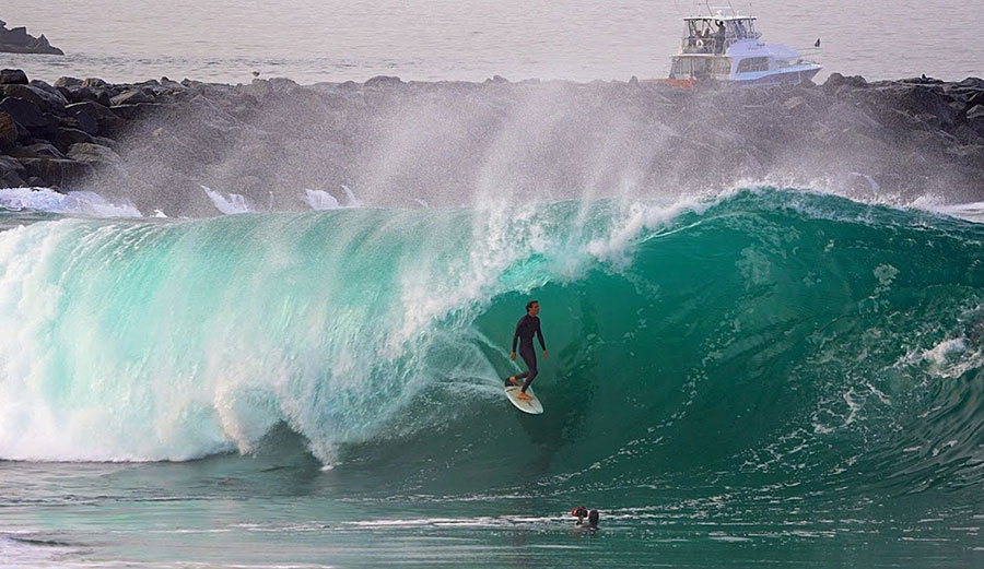 surfing at the Wedge