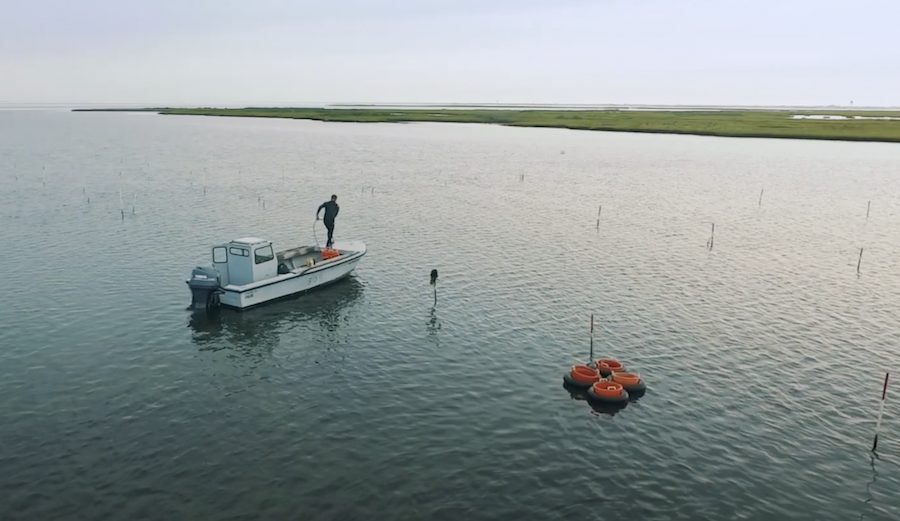 jetty highwater healing initiative