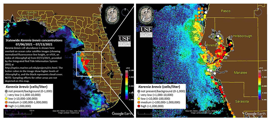 Florida red tide status map