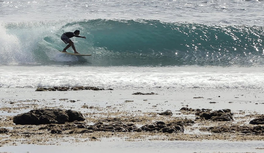 shallow reef tubes in lombok