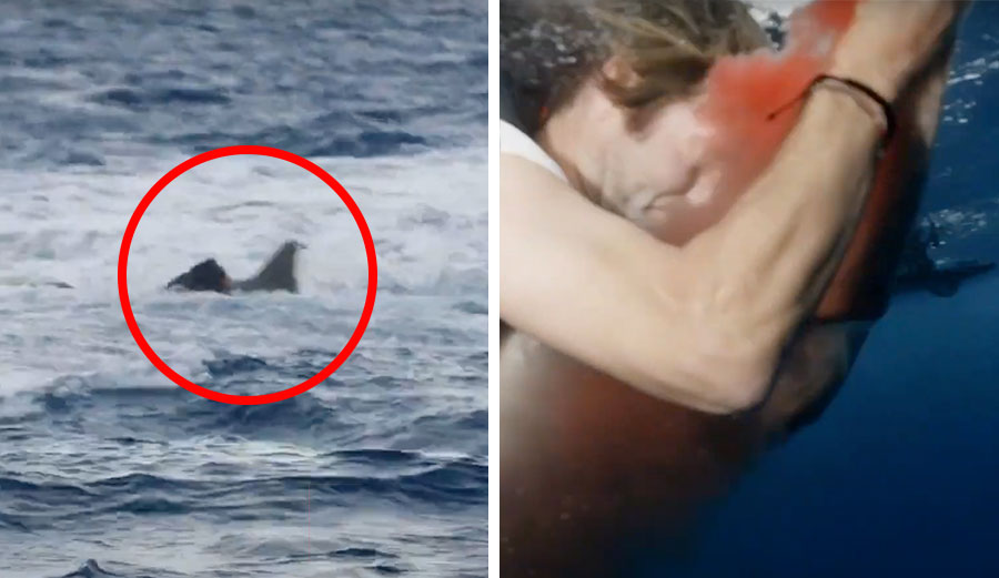 Poopies' Jackass shark attack on camera