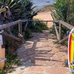 surfskate