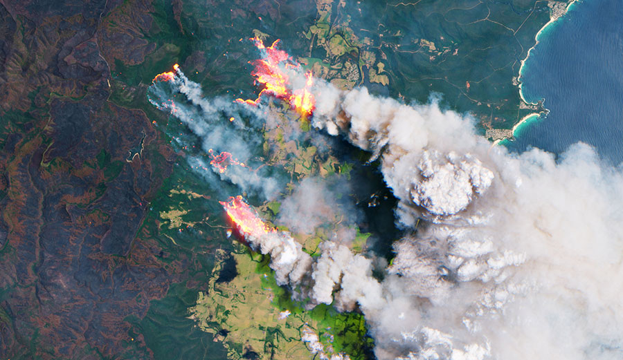 Black Summer fires