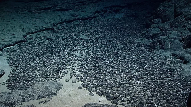 mineral-rich nodules on the seafloor