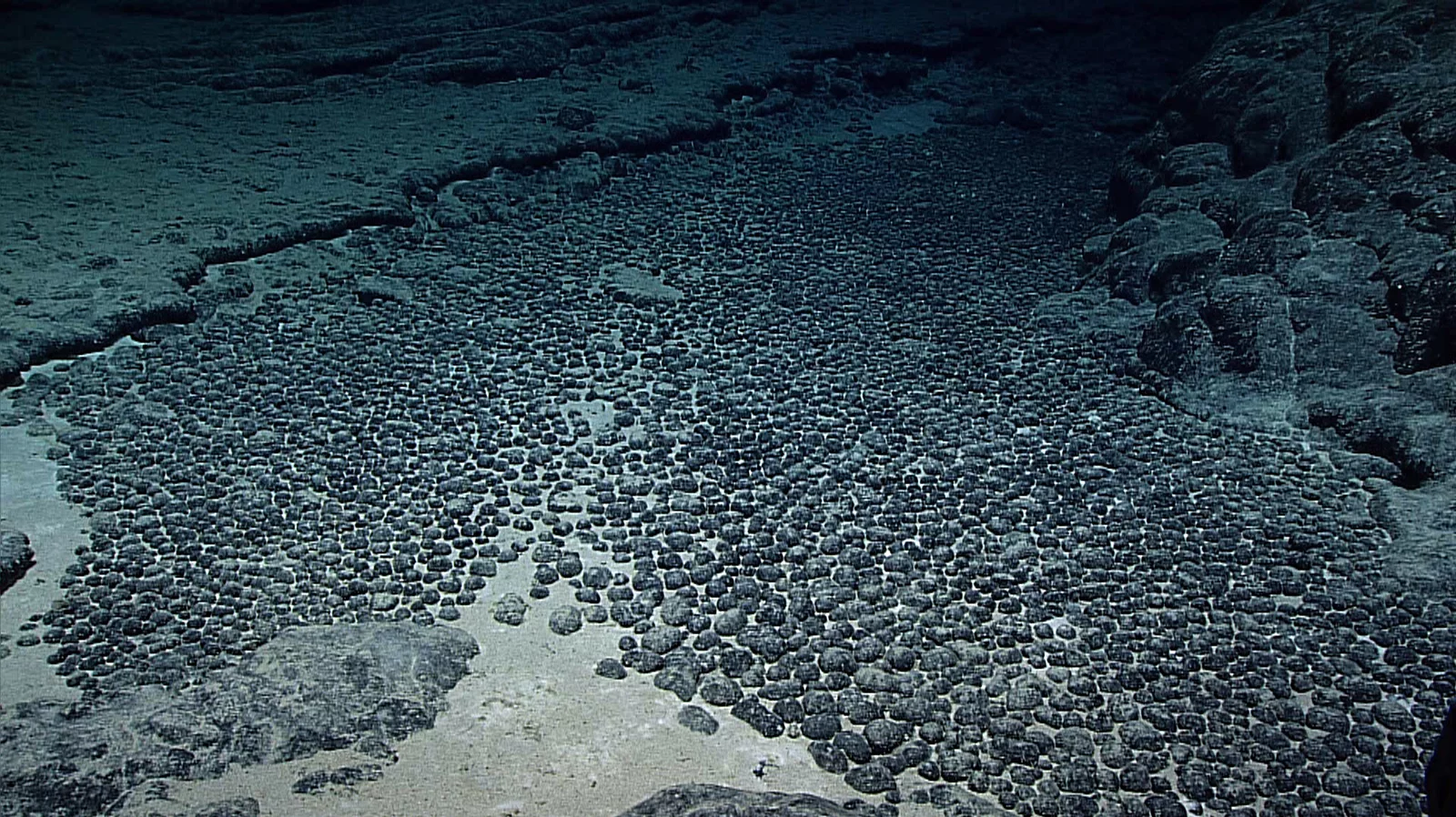 mineral-rich nodules on the seafloor