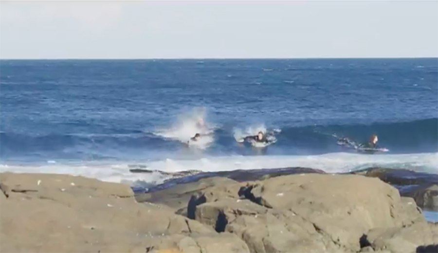 These Australian Surfers Were Chased From the Water by a Great White Shark